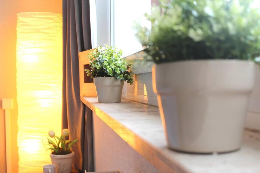 Apartment Bella Chemnitz Esterno foto